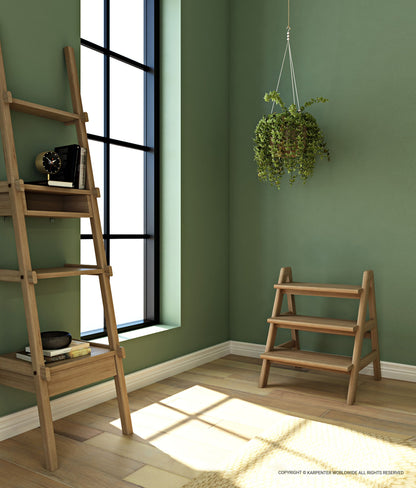 CIRCA17 Step Ladder