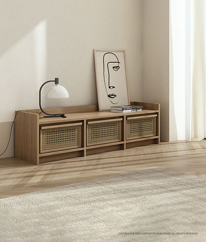 ROOTS Media Cabinet