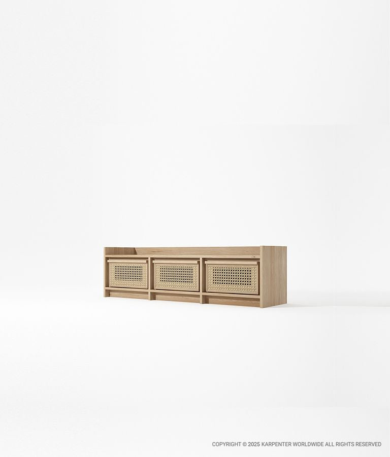 ROOTS Media Cabinet
