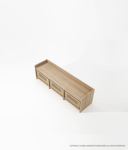 ROOTS Media Cabinet