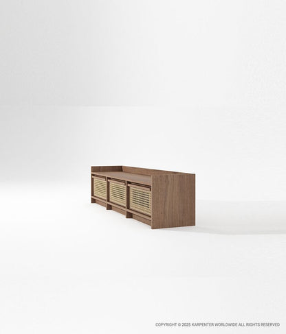 ROOTS Media Cabinet