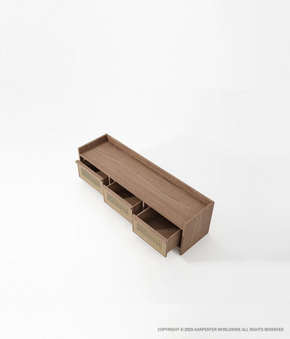 ROOTS Media Cabinet