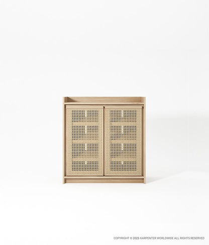 ROOTS Shoerack